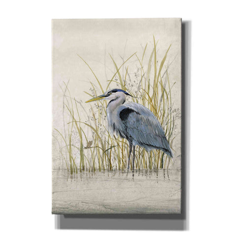 Image of 'Heron Sanctuary II' by Tim O'Toole, Canvas Wall Art