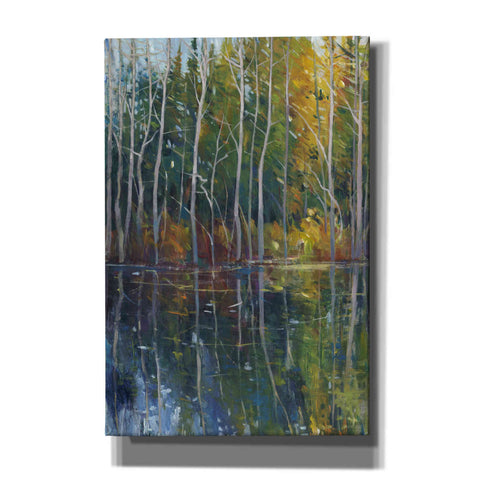 Image of 'Pine Reflection II' by Tim O'Toole, Canvas Wall Art