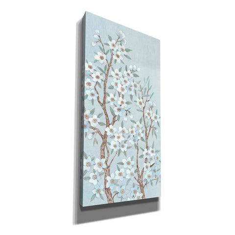 Image of 'Branches of Blossoms II' by Tim O'Toole, Canvas Wall Art