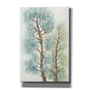 'Tranquil Tree Tops I' by Tim O'Toole, Canvas Wall Art