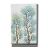 'Tranquil Tree Tops II' by Tim O'Toole, Canvas Wall Art