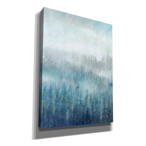 Image of 'Above the Mist I' by Tim O'Toole, Canvas Wall Art
