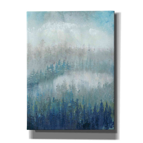 Image of 'Above the Mist II' by Tim O'Toole, Canvas Wall Art