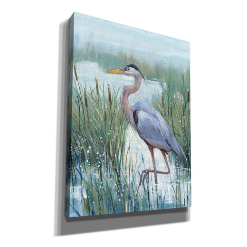 Image of 'Marsh Heron II' by Tim O'Toole, Canvas Wall Art