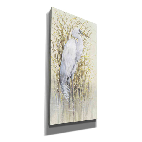 Image of 'Wading I' by Tim O'Toole, Canvas Wall Art
