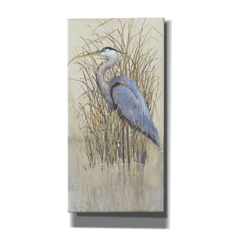 Image of 'Wading II' by Tim O'Toole, Canvas Wall Art