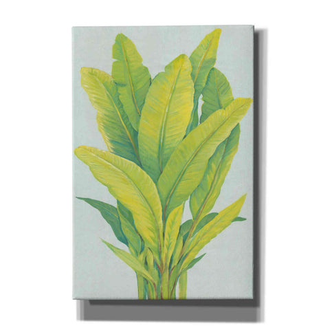 Image of 'Chartreuse Tropical Foliage I' by Tim O'Toole, Canvas Wall Art