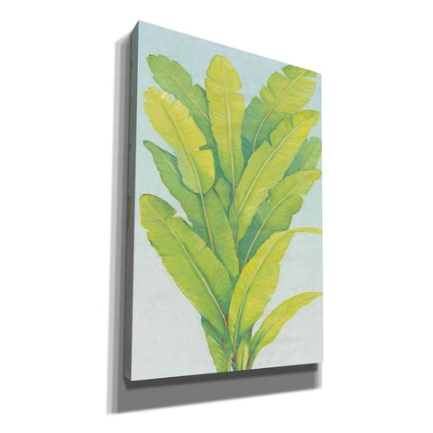 Image of 'Chartreuse Tropical Foliage II' by Tim O'Toole, Canvas Wall Art