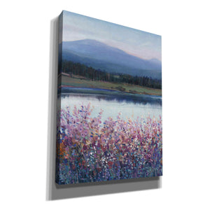'Lakeside Mountain I' by Tim O'Toole, Canvas Wall Art