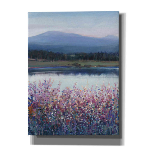 Image of 'Lakeside Mountain I' by Tim O'Toole, Canvas Wall Art