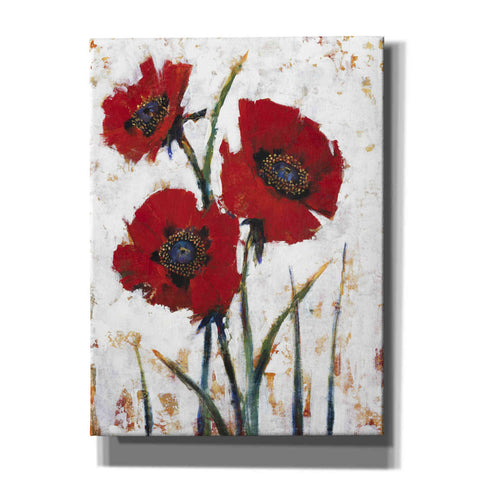Image of 'Red Poppy Fresco I' by Tim O'Toole, Canvas Wall Art