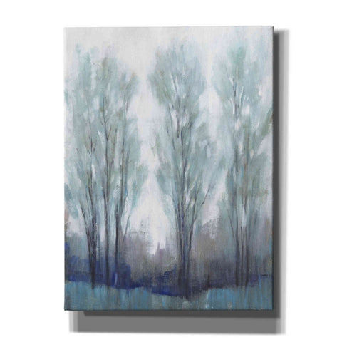Image of 'Through the Clearing I' by Tim O'Toole, Canvas Wall Art