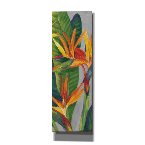 Image of 'Bird of Paradise Triptych II' by Tim O'Toole, Canvas Wall Art