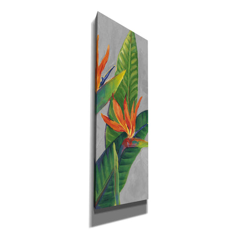 Image of 'Bird of Paradise Triptych III' by Tim O'Toole, Canvas Wall Art
