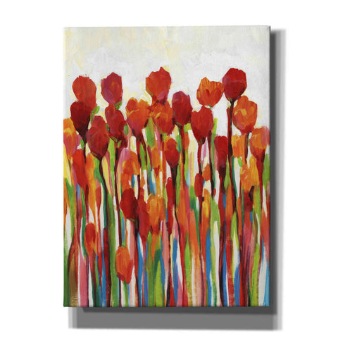 Image of 'Bursting with Color II' by Tim O'Toole, Canvas Wall Art