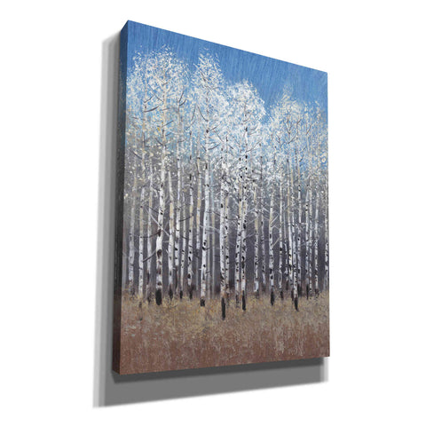 Image of 'Cobalt Birches I' by Tim O'Toole, Canvas Wall Art
