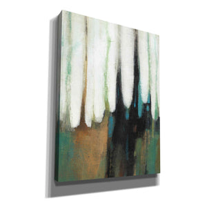 'Falling Colors I' by Tim O'Toole, Canvas Wall Art