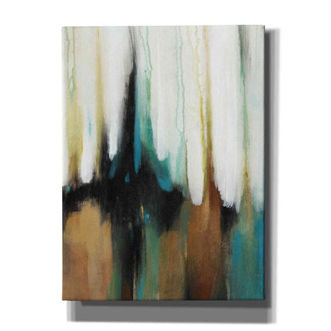Image of 'Falling Colors II' by Tim O'Toole, Canvas Wall Art