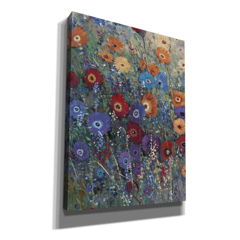 Image of 'Flower Patch I' by Tim O'Toole, Canvas Wall Art