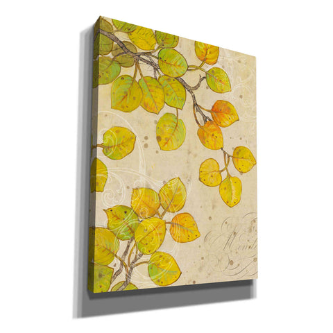 Image of 'Turning II' by Tim O'Toole, Canvas Wall Art