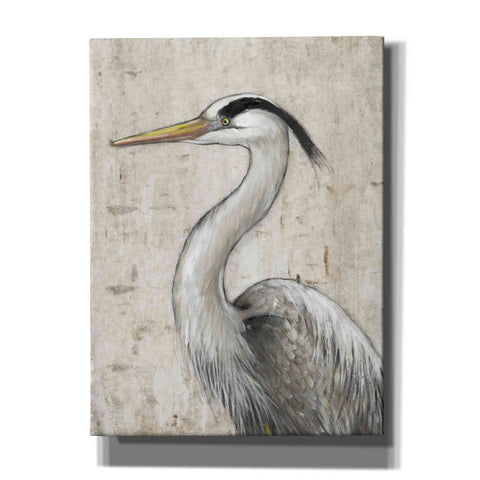 Image of 'Grey Heron II' by Tim O'Toole, Canvas Wall Art