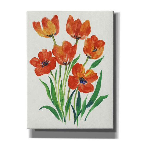 Image of 'Red Tulips in Bloom II' by Tim O'Toole, Canvas Wall Art