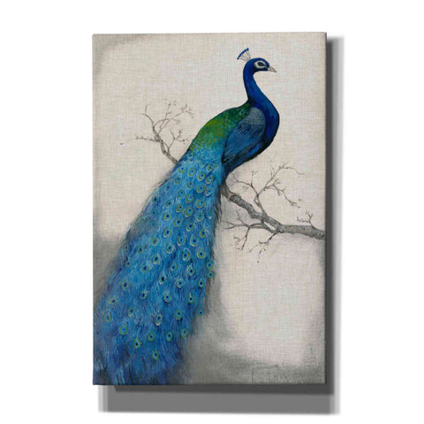 Image of 'Peacock Blue I' by Tim O'Toole, Canvas Wall Art