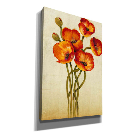 Image of 'Entanglement I' by Tim O'Toole, Canvas Wall Art