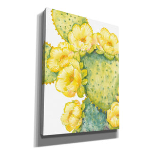 'Cactus on Silver I' by Tim O'Toole, Canvas Wall Art
