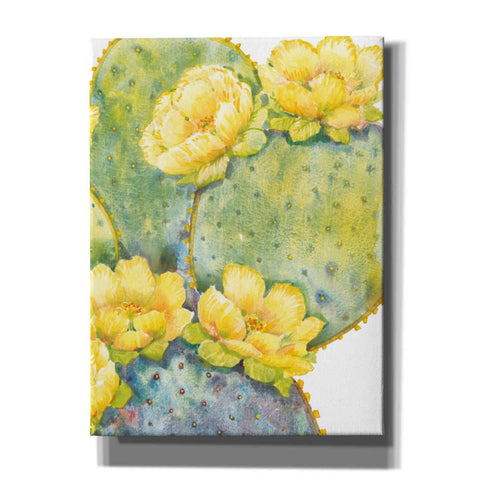 Image of 'Cactus on Silver II' by Tim O'Toole, Canvas Wall Art