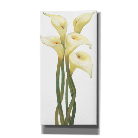 Image of 'Callas on Silver II' by Tim O'Toole, Canvas Wall Art
