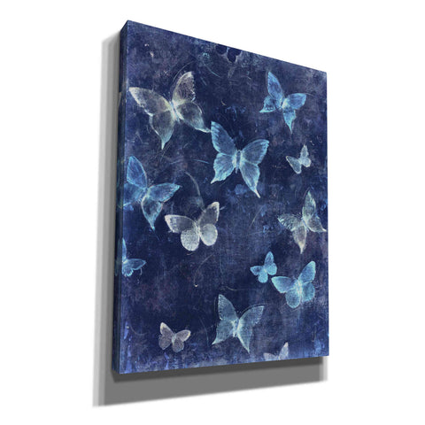 Image of 'Indigo Flight I' by Tim O'Toole, Canvas Wall Art