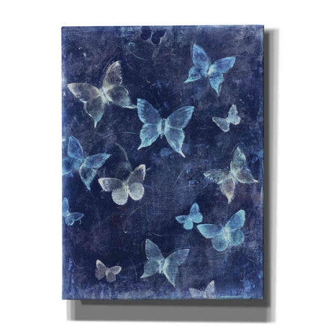 Image of 'Indigo Flight I' by Tim O'Toole, Canvas Wall Art