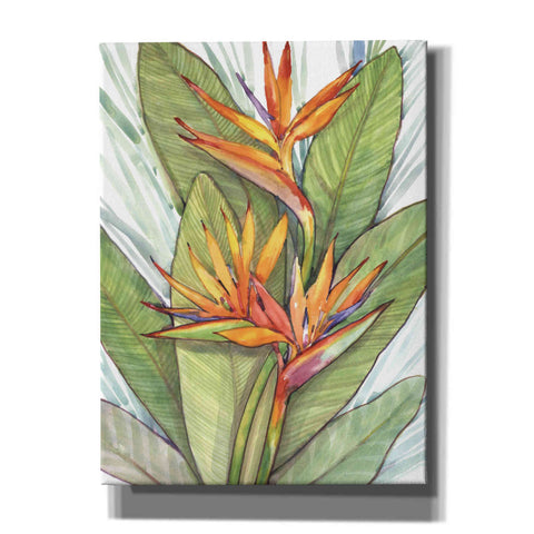 Image of 'Tropical Botanical Paradise I' by Tim O'Toole, Canvas Wall Art