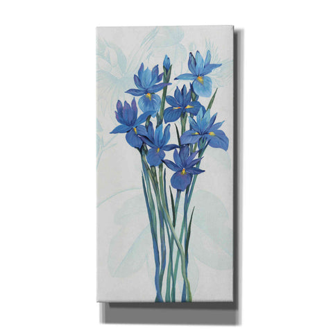 Image of 'Blue Iris Panel II' by Tim O'Toole, Canvas Wall Art