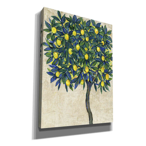 Image of 'Lemon Tree Composition I' by Tim O'Toole, Canvas Wall Art