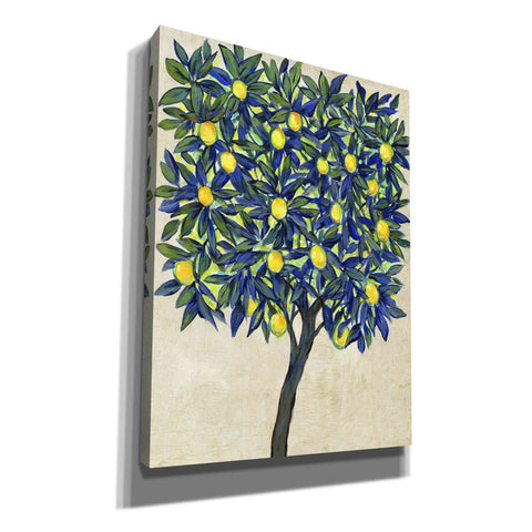 Image of 'Lemon Tree Composition II' by Tim O'Toole, Canvas Wall Art