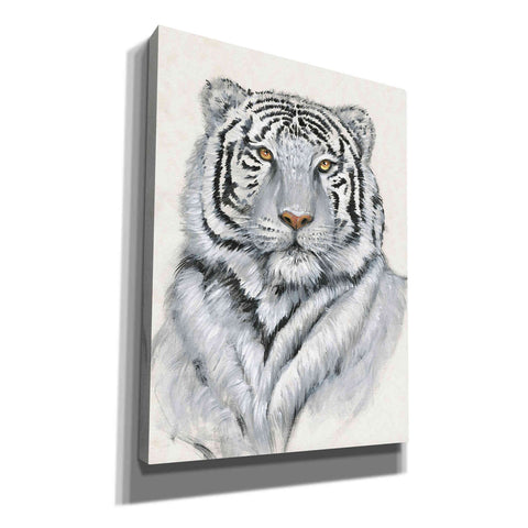 Image of 'White Tiger I' by Tim O'Toole, Canvas Wall Art