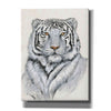 'White Tiger I' by Tim O'Toole, Canvas Wall Art