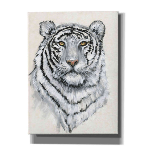 Image of 'White Tiger II' by Tim O'Toole, Canvas Wall Art