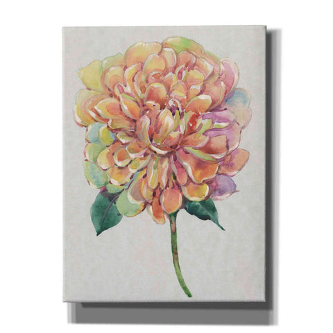 Image of 'Multicolor Floral I' by Tim O'Toole, Canvas Wall Art