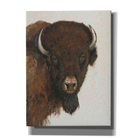 Image of 'Western Portrait II' by Tim O'Toole, Canvas Wall Art