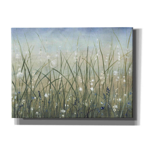 Image of 'Bliss II' by Tim O'Toole, Canvas Wall Art