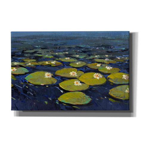 Image of 'Lily Pads I' by Tim O'Toole, Canvas Wall Art