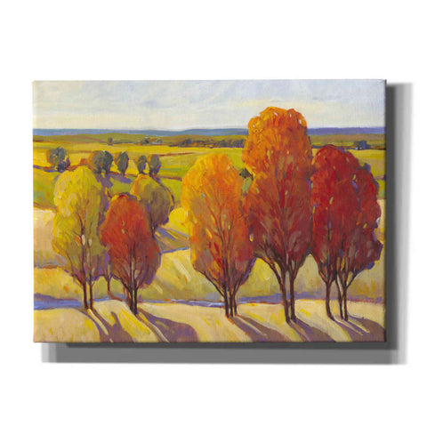 Image of 'Day Glow I' by Tim O'Toole, Canvas Wall Art