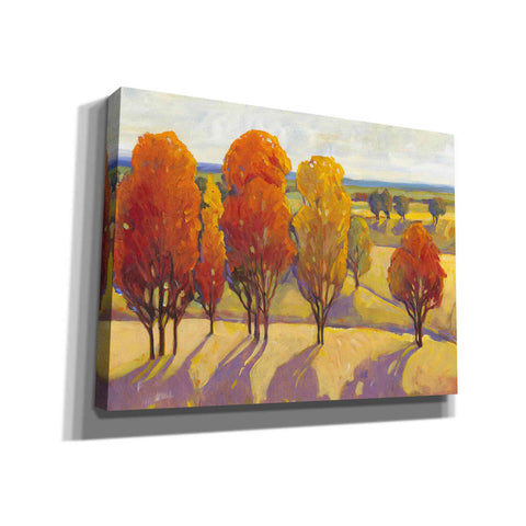 Image of 'Day Glow II' by Tim O'Toole, Canvas Wall Art
