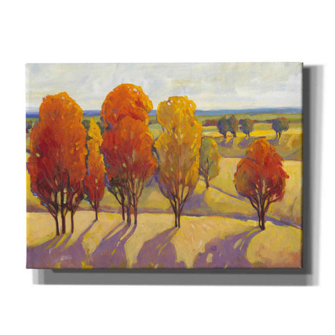 Image of 'Day Glow II' by Tim O'Toole, Canvas Wall Art