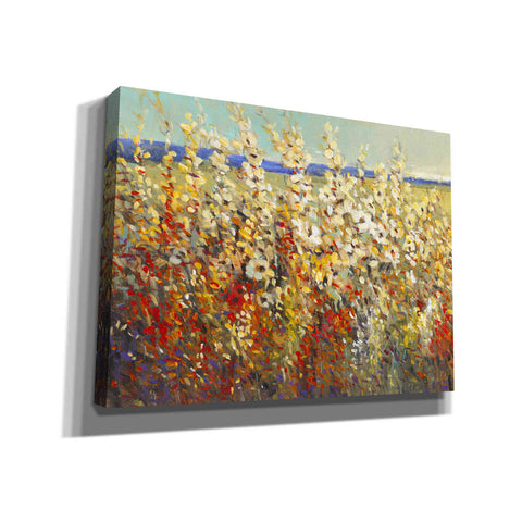 Image of 'Field of Spring Flowers II' by Tim O'Toole, Canvas Wall Art