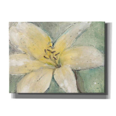 Image of 'Floral Spirit III' by Tim O'Toole, Canvas Wall Art