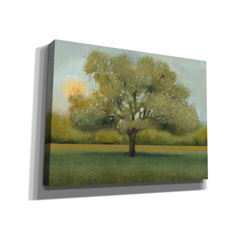Image of 'Sunrise II' by Tim O'Toole, Canvas Wall Art